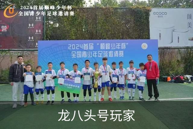 龙八头号玩家公司简介图片